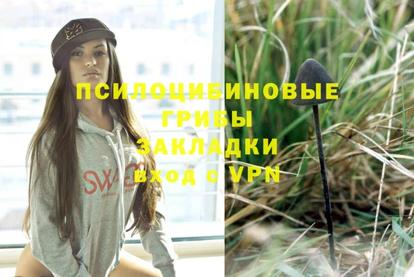 стафф Белокуриха