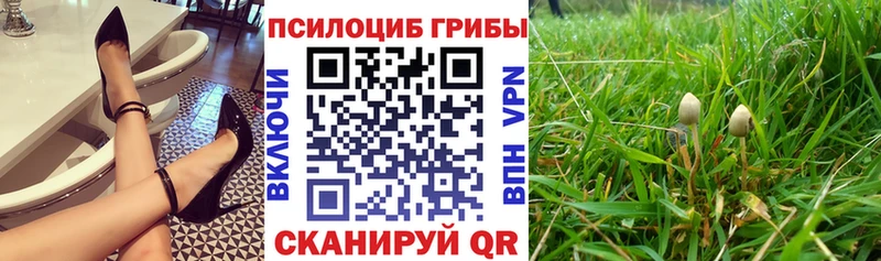 Галлюциногенные грибы Psilocybine cubensis  Купино 